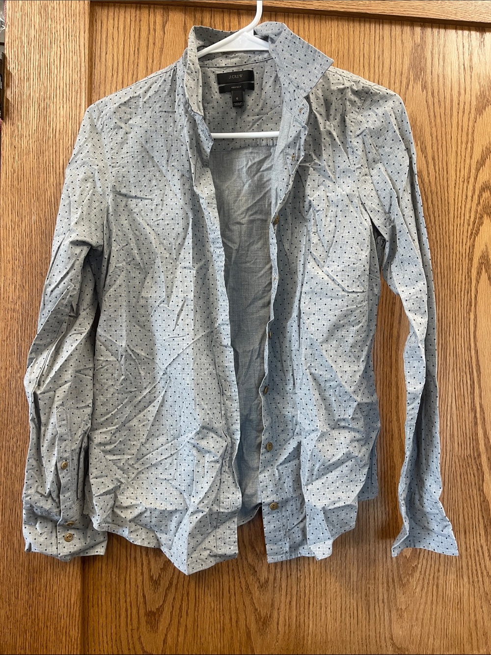 J. Crew Light Blue Dot-Print Button-Down Shirt
